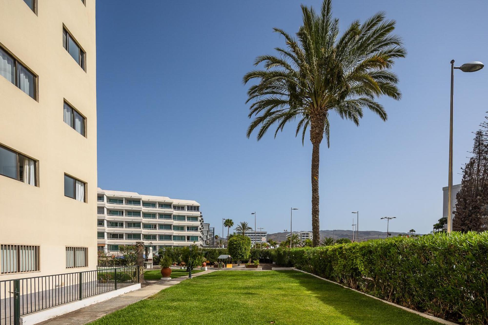 Los Ficus Playa del Inglés Eksteriør bilde
